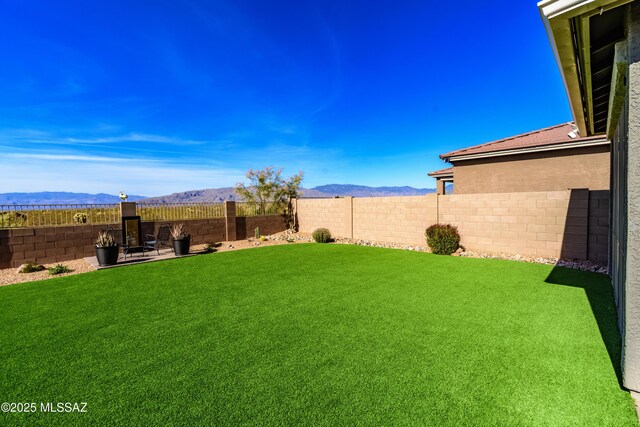 12100 E Ryscott Cir, Vail, AZ 85641 - view of yard with a fenced backyard and a mountain view