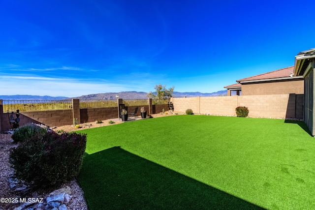 12100 E Ryscott Cir, Vail, AZ 85641 - view of yard with a fenced backyard and a mountain view