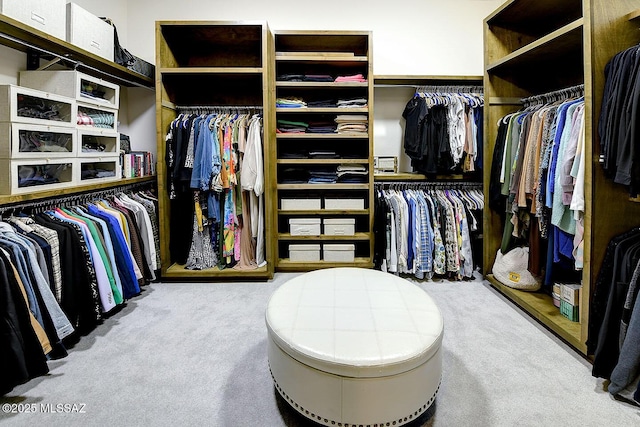 spacious closet with carpet flooring