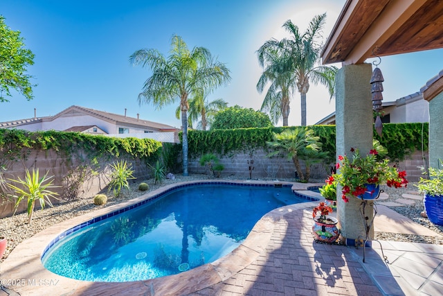 view of pool featuring a fenced backyard, a fenced in pool, and a patio
