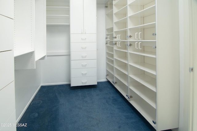 spacious closet with dark carpet