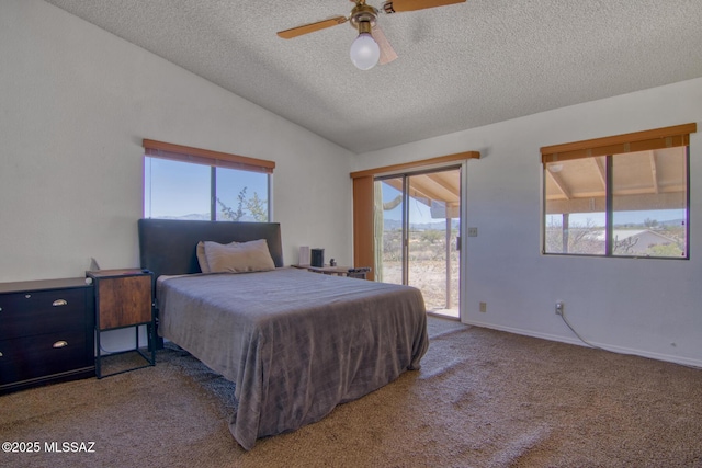 4050 S Melpomene Way, Tucson, AZ 85730 - bedroom featuring carpet floors, a textured ceiling, access to exterior, a ceiling fan, and lofted ceiling