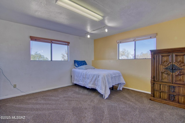 4050 S Melpomene Way, Tucson, AZ 85730 - carpeted bedroom with rail lighting, a textured ceiling, and multiple windows