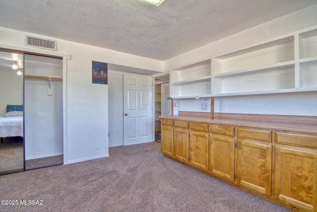 4050 S Melpomene Way, Tucson, AZ 85730 - interior space with a textured ceiling, visible vents, open shelves, brown cabinets, and carpet floors