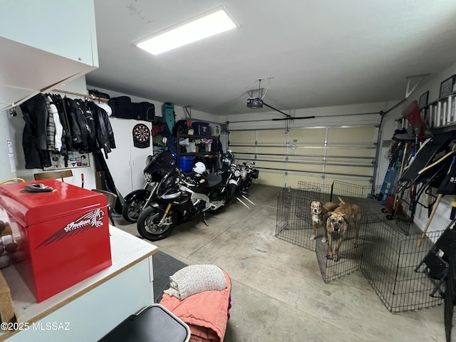 garage with a garage door opener
