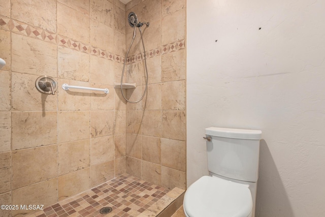 full bathroom featuring a stall shower and toilet