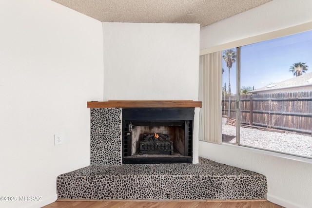 details featuring a warm lit fireplace and wood finished floors