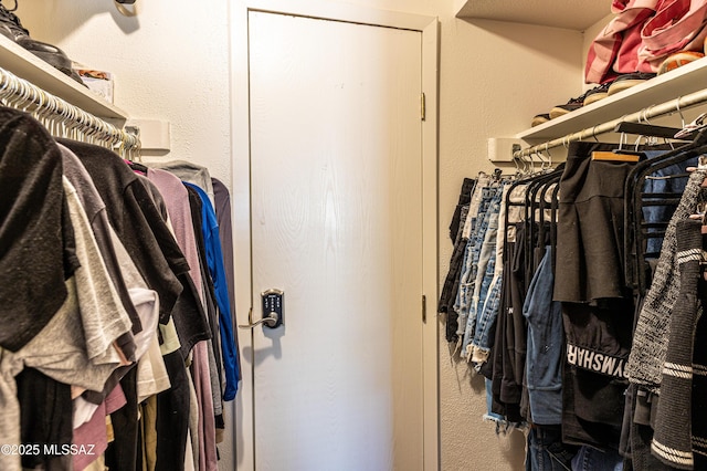 view of spacious closet
