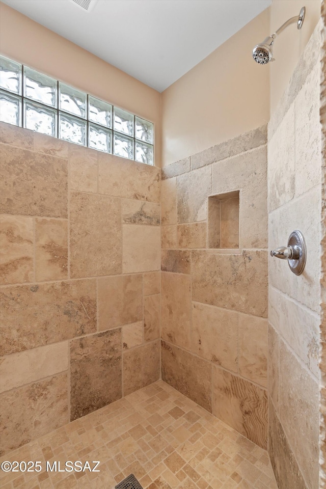 12431 E Cape Horn Dr, Tucson, AZ 85749 - full bath featuring tiled shower