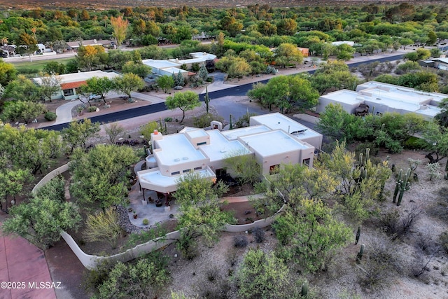12431 E Cape Horn Dr, Tucson, AZ 85749 - bird's eye view