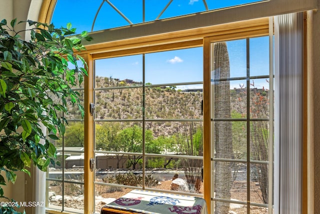 entryway with plenty of natural light
