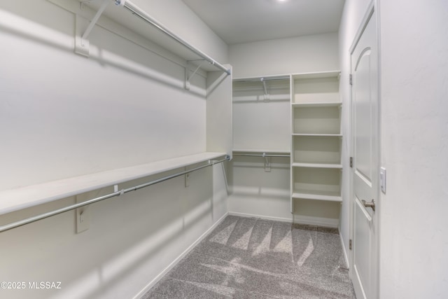 14172 E Vardo Dr, Vail, AZ 85641 - walk in closet with carpet flooring