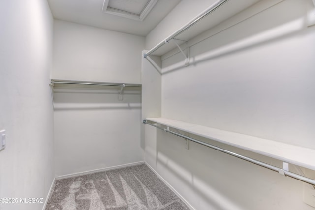 14172 E Vardo Dr, Vail, AZ 85641 - walk in closet with carpet flooring and attic access