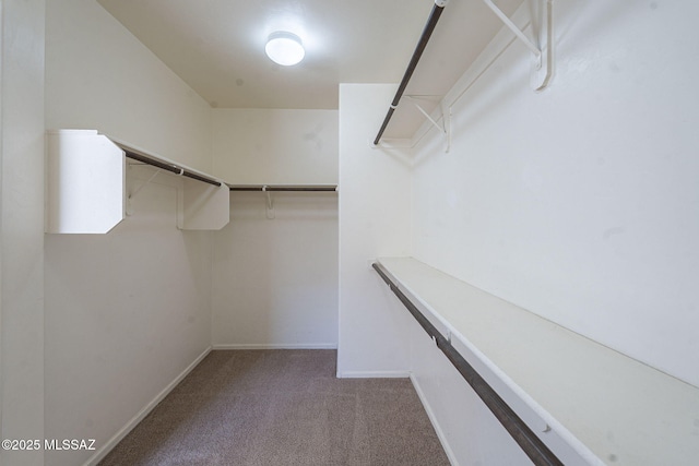 walk in closet featuring carpet