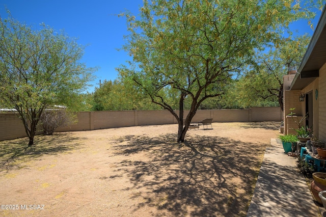view of yard with a fenced backyard