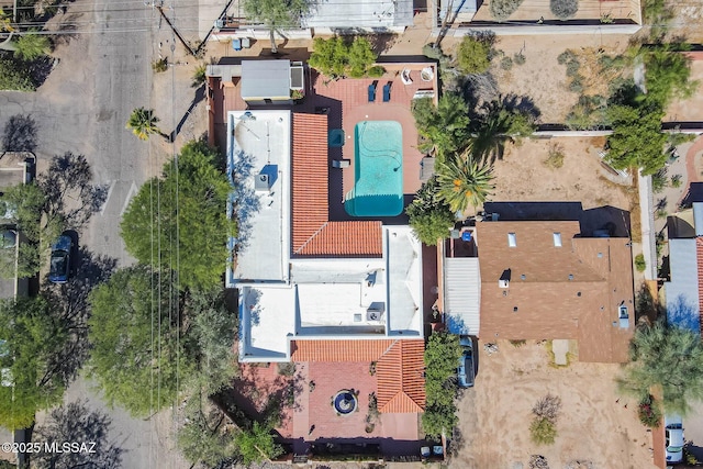 bird's eye view