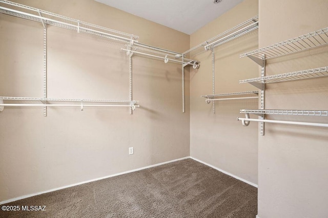 spacious closet with carpet floors