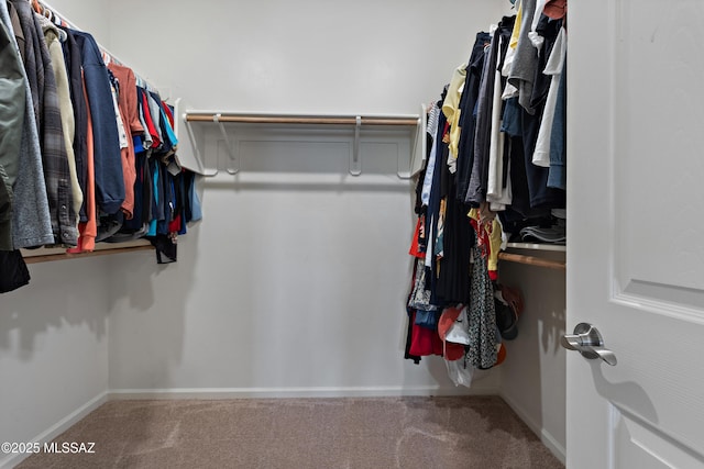 10337 S Pantano Knolls Dr, Vail, AZ 85641 - walk in closet with carpet flooring