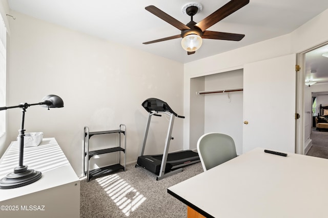 8014 S Wild Primrose Ave, Tucson, AZ 85747 - unfurnished office with carpet floors and ceiling fan