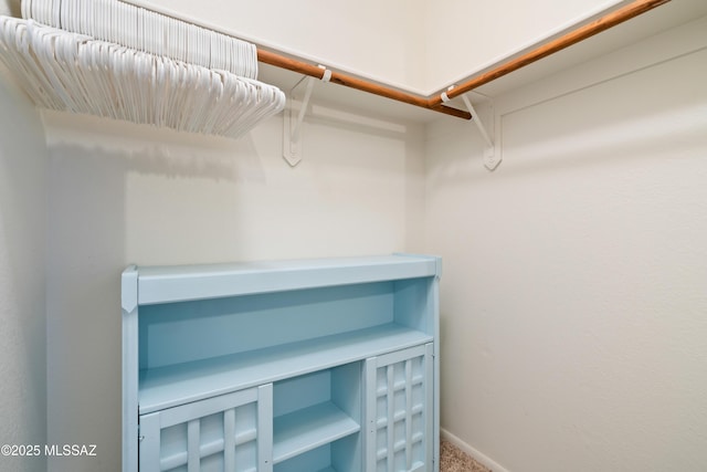 8014 S Wild Primrose Ave, Tucson, AZ 85747 - spacious closet with carpet flooring