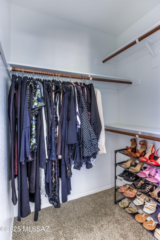 1707 W Sunridge Dr, Tucson, AZ 85704 - walk in closet featuring carpet flooring