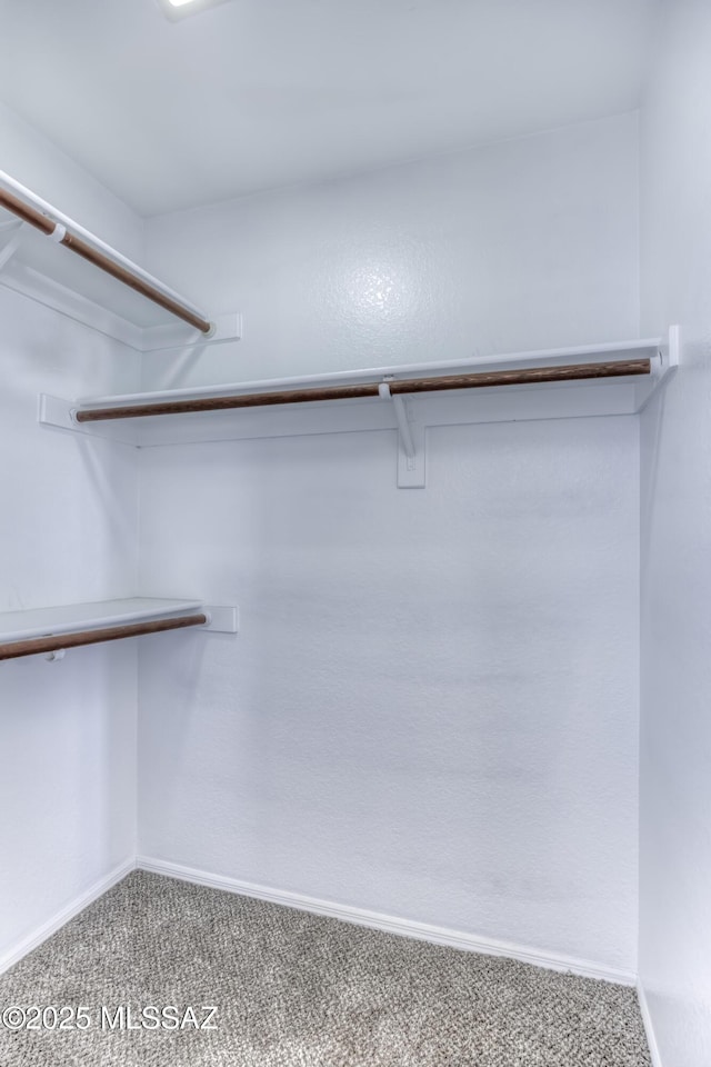 1707 W Sunridge Dr, Tucson, AZ 85704 - spacious closet featuring carpet flooring