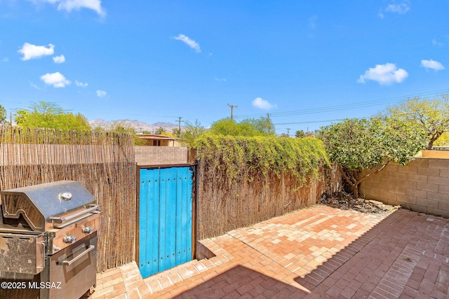 1525 N Bryant Ave, Tucson, AZ 85712 - view of patio with grilling area and a fenced backyard