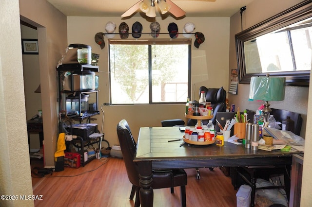 dining area featuring wood finished floors and a ceiling fan