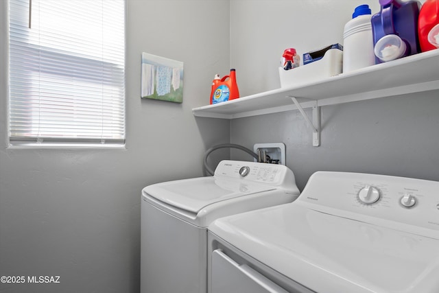 2868 N Silkie Pl, Tucson, AZ 85719 - laundry area with laundry area and washing machine and clothes dryer