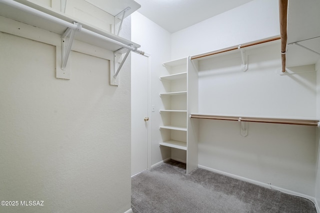 walk in closet with carpet flooring