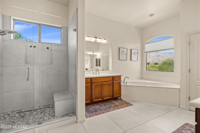 bathroom with vanity, a healthy amount of sunlight, and a stall shower