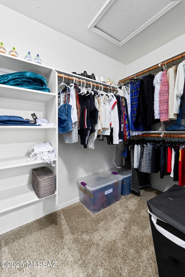 walk in closet with carpet flooring and attic access