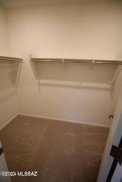 walk in closet featuring carpet