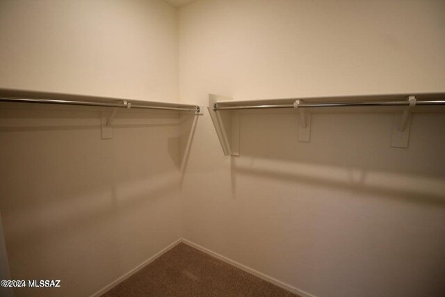 walk in closet featuring carpet flooring