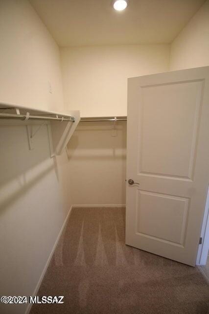 spacious closet featuring carpet