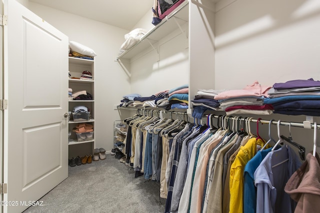 spacious closet featuring carpet flooring