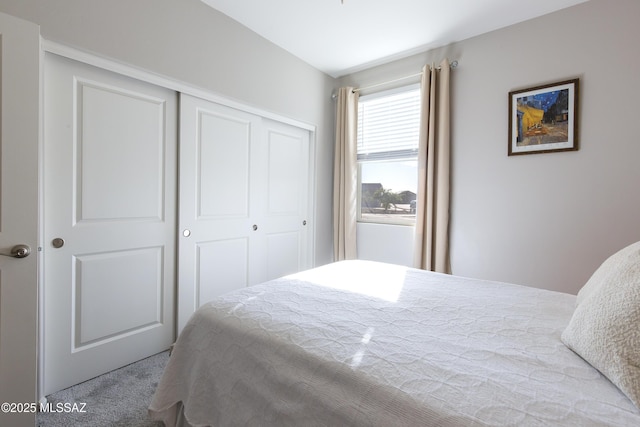 bedroom featuring carpet and a closet