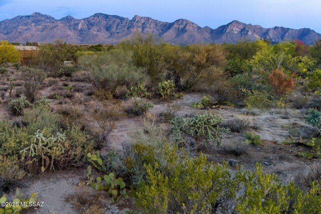 14074 N Hohokam Village Pl Unit 57, Oro Valley, AZ 85755
