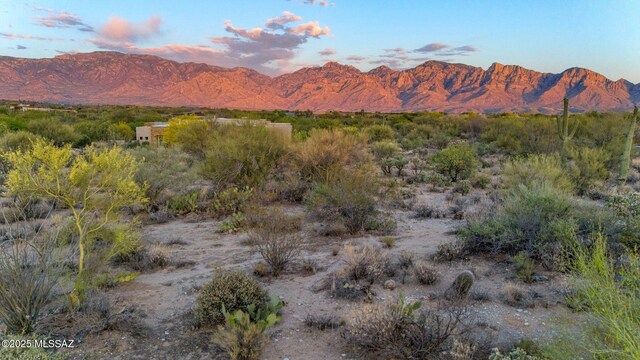14074 N Hohokam Village Pl Unit 57, Oro Valley, AZ 85755