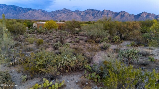 14074 N Hohokam Village Pl Unit 57, Oro Valley, AZ 85755