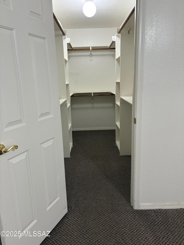 829 E Calle Esplendor, Nogales, AZ 85621 - walk in closet with dark colored carpet