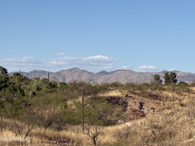 829 E Calle Esplendor, Nogales, AZ 85621 - view of mountain feature