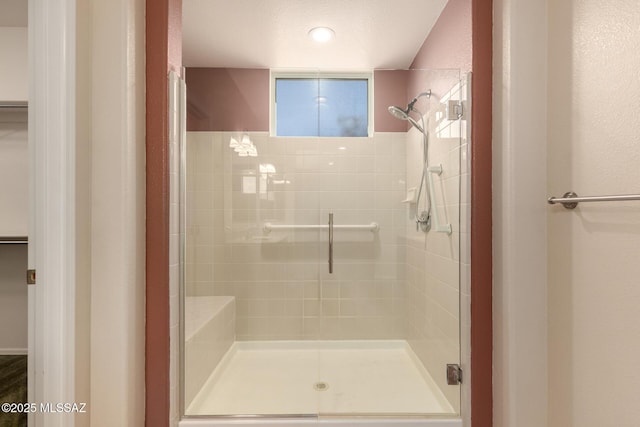 2436 E Desert Pueblo Pass, Green Valley, AZ 85614 - full bathroom featuring a shower stall
