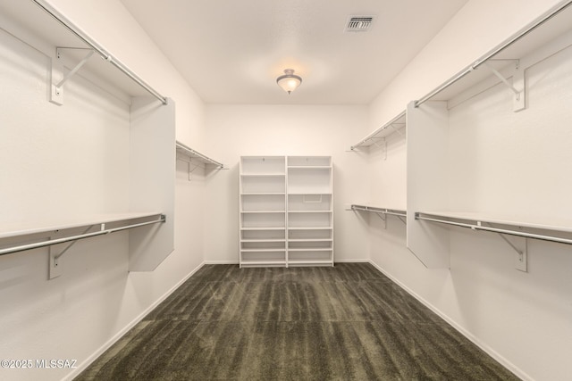 2436 E Desert Pueblo Pass, Green Valley, AZ 85614 - walk in closet featuring carpet floors and visible vents