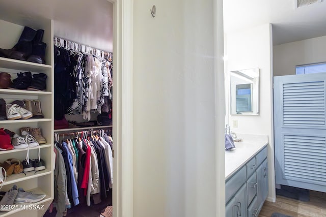 21 Kachina, Rio Rico, AZ 85648 - interior space with vanity, wood finished floors, a spacious closet, and visible vents