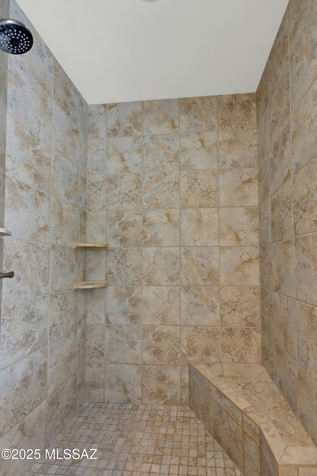 12471 E Speedway Blvd, Tucson, AZ 85748 - full bath featuring tiled shower