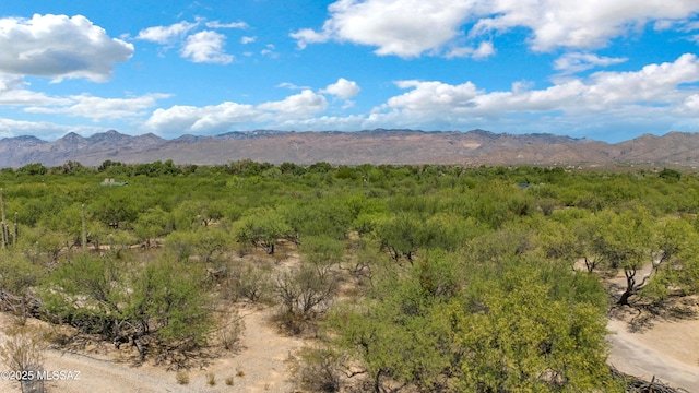 12471 E Speedway Blvd, Tucson, AZ 85748 - view of mountain background