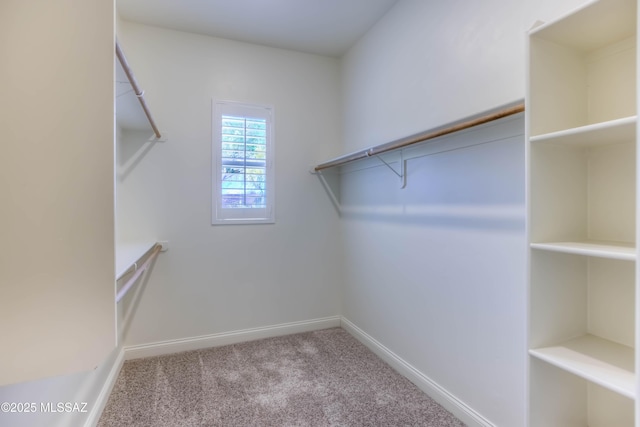 walk in closet featuring carpet floors