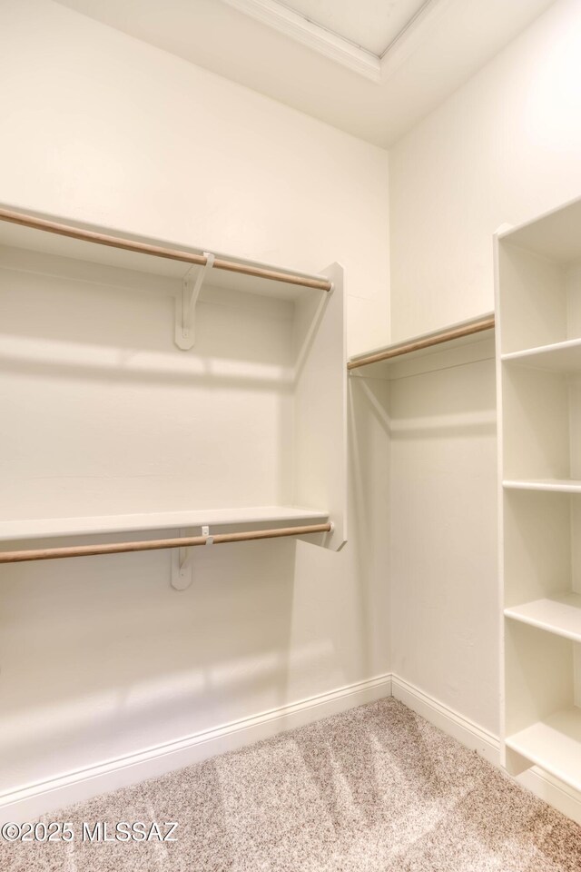walk in closet with carpet flooring and attic access