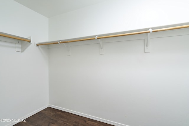 walk in closet featuring dark wood finished floors